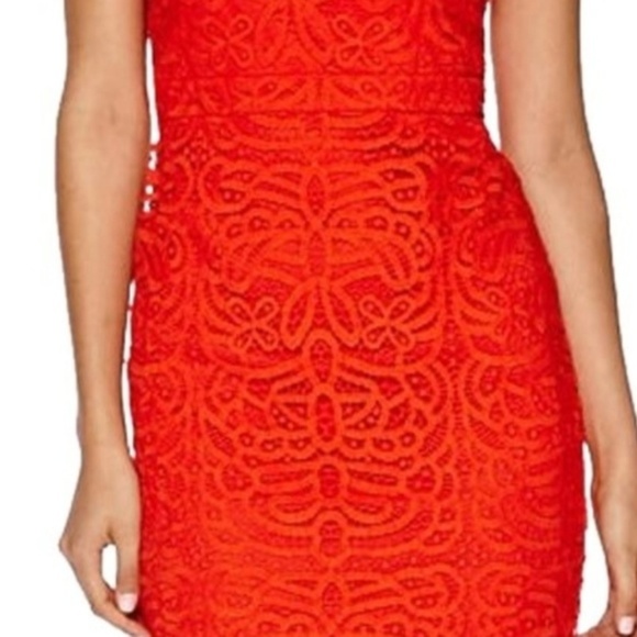 {Bisou Bisou} Lace Dress - Picture 2 of 7